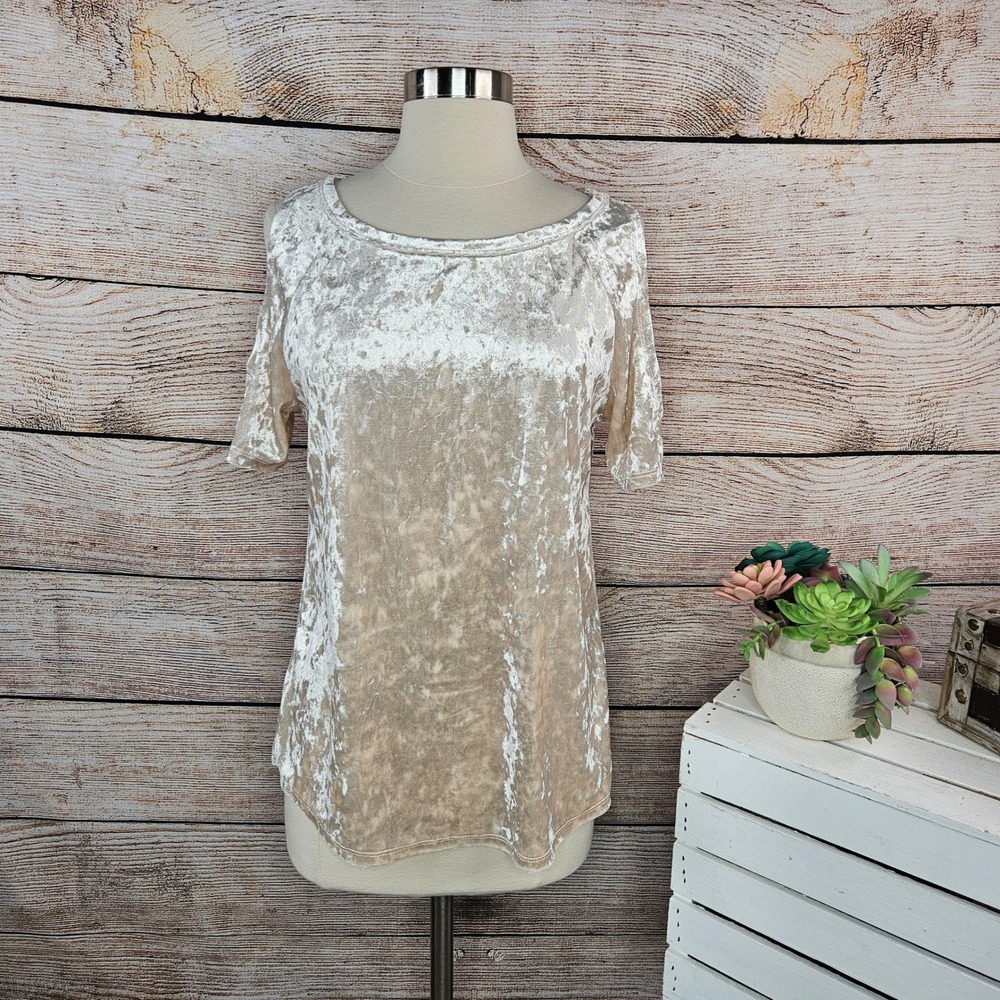 5/$25 Sanctuary Women's Small Champagne Beige Velvet Short Sleeve Top